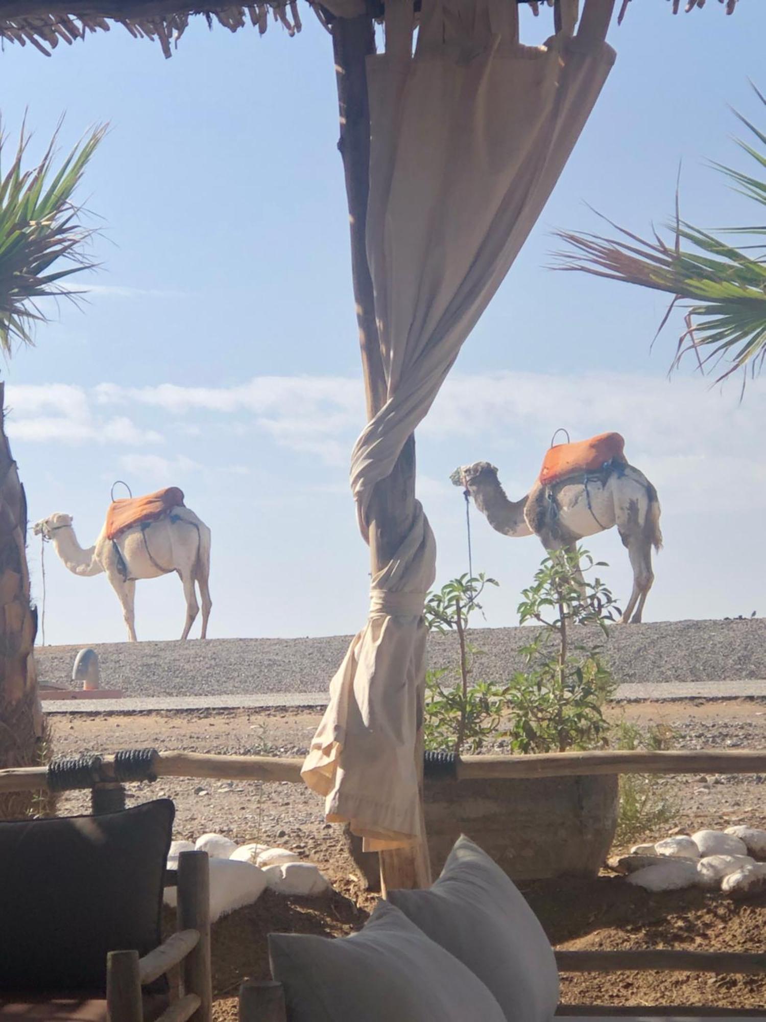 Riad Abbassia Marrakech Premiere Marrákes Kültér fotó