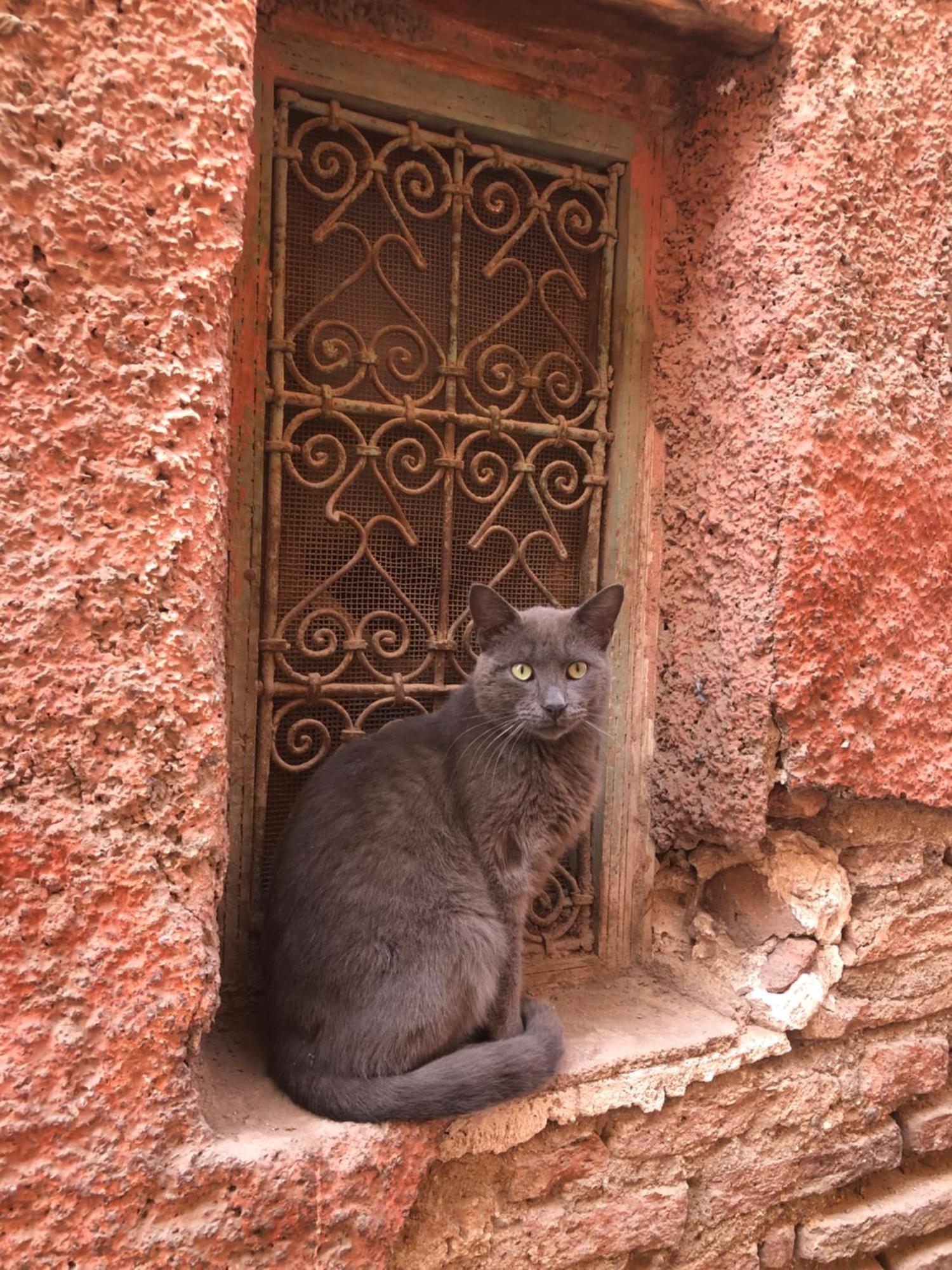 Riad Abbassia Marrakech Premiere Marrákes Kültér fotó